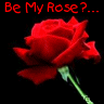 Be My Rose?...