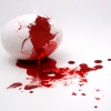 Blood Filled Egg