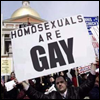 Homosexuals are gay