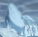 Ice release jutsu whale