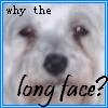 Long face