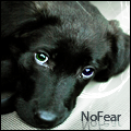 No fear dog