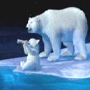 Polar Bears with Coca Cola gif