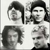 Red Hot Chili Peppers 355