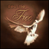 Set me Free