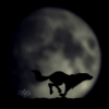 Wolf running with the moon