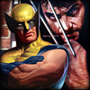 Wolverine glares